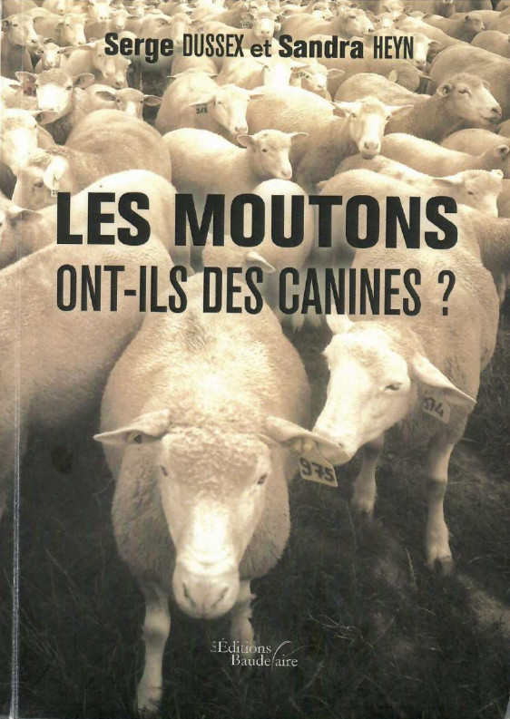 Les moutons ont-ils des cannines